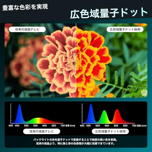 【Amazon.co.jp限定】ハイセンス 75V型 75E7N 4K 量子ドット 倍速パネル 144Hz VRR ゲームモード ネット動画 スマート ダブル録画 チューナー内蔵 Alexa AirPlay2 液晶 テレビ 3年保証 2025年モデル 中間 画像