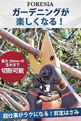 【造園パートナーズ庭師のおすすめ】 FORESIA 剪定ばさみ 2段階調節可能 サクサク切れる 握りやすい せんていばさみ フッ素コーティング 剪定鋏 えだきりばさみ (金 + 黒色) 最後 画像