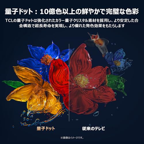 【Amazon.co.jp限定】TCL 75V型 テレビ 4K 量子ドット 倍速 75T8C HVAパネル 液晶 Google TV Wチューナー Airplay2 クロームキャスト Alexa対応 2.1ch サウンドシステム 目保護 裏録画 音声検索 HDR10+ Dolby Atmos Dolby Vision ゲームマスター チューナーイン 2025年モデル 壁かけ 中間 画像