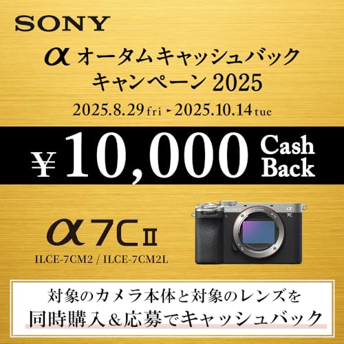 【α7CM2 と バッテリー/チャージャー/保護フィルム セット】 長時間撮影したい方に。<br />ILCE-7CM2ボディ ブラック + NP-FZ100 + BC-QZ1 + Kenko KLP-SA7CM2 最後 画像” loading=”lazy” decoding=”async” data-id=”42041″ /></figure>
<p>ソニーのα7CM2と専用のバッテリー、チャージャー、保護フィルムのセットは、長時間の撮影を考えるユーザーに多く選ばれている製品です。<br />特にILCE-7CM2ボディ(ブラック)にNP-FZ100バッテリー、BC-QZ1チャージャー、Kenkoの保護フィルムが付属しているため、撮影中の電池切れの心配を軽減し、本体の保護もしっかりできる点が評価されています。<br />購入前に知っておきたいポイントをまとめました。</p>
<h3><span id=