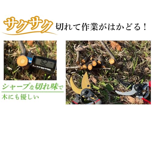 【造園パートナーズ庭師のおすすめ】 FORESIA 剪定ばさみ サクサク切れる 握りやすい 2段階調節可能 せんていばさみ フッ素コーティング 剪定鋏 えだきりばさみ (銀 + 赤色) 中間 画像
