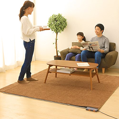 【節電対策】TEKNOS ホットカーペット HC-IR200 電気カーペット 2畳 176×176cm ダニ退治機能付き ホットマット 暖房面積切替 コンパクト収納 最後 画像
