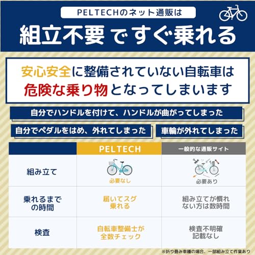 【100%完成車納品】 PELTECH(ペルテック) 後チャイルドシート付電動アシスト自転車 20インチ内装3段 TDN-207LPC (12AHバッテリー, ブルーグレイ) 中間 画像