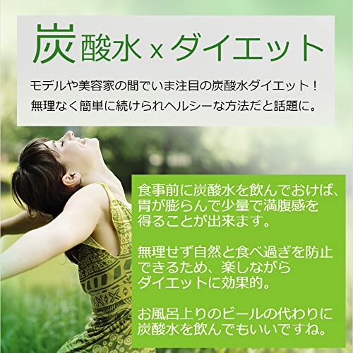 [公式] ソーダストリーム ガスシリンダー 60L 2本セット(新規購入用) Soda stream Soda stream 中間 画像