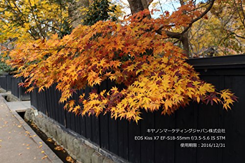 【整備済み品】 キヤノン Canon デジタル一眼レフカメラ EOS Kiss X7 レンズキット EF-S18-55mm F3.5-5.6 IS STM付属 KISSX7-1855ISSTMLK (整備済み品) ブラック 最後 画像