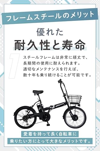 PELTECH(ペルテック) 折り畳み電動アシスト自転車 20インチ折り畳み外装6段変速 【簡易組立必要品】(TDN-208L) (8AHバッテリー, ブルー×ブラック) 中間 画像