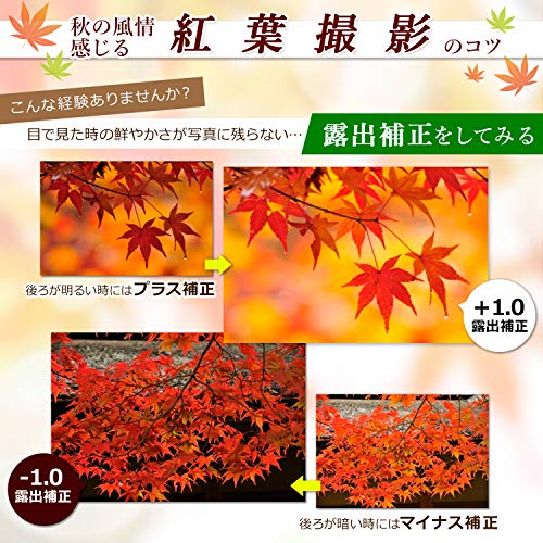Nikon デジタル一眼レフカメラ D3400 ダブルズームキット ブラック D3400WZBK 最後 画像