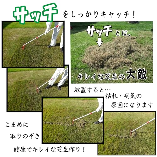 キンボシ(Kinboshi) 芝生のサッチ取りレーキ 伸縮式 金星 12本爪 アルミ柄 4036 中間 画像