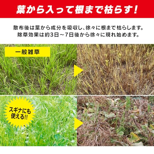 アイリスオーヤマ 【2025年発売】 すぐ効く 速攻除草剤 4L 4個セット 液体タイプ そのまま使える 大容量 お徳用 WSJ-4L 中間 画像