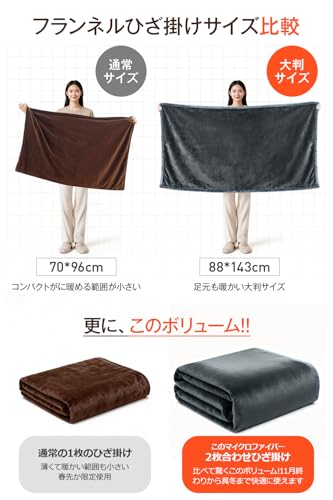 電気毛布 掛け敷き兼用 【2025新登場 9箇所発熱 143×88cm大判】 USB/DC給電 電気ブランケット 電気ひざ掛け 3段階温度調節 MAX65℃ 日本製ヒーター 6Hタイマー 肩掛け 膝掛け 敷毛布 腰巻き ダニ退治 切り忘れ防止 丸洗い可 防寒対策 暖房器具 速暖 ふわふわ ブランケット 省エネ キャンプ ソロキャンプ 車中泊 テント泊 アウトドア オフィス (グレー) 中間 画像