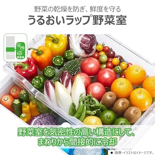 東芝 冷蔵庫 幅60.0㎝ 411L 左開き GR-W41GKL(WU) マットホワイト 野菜室がまんなか 大容量 片開きタイプ 5ドア 自動製氷 Ag+低温触媒 除菌 脱臭 2024年モデル 中間 画像