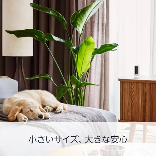 【カメラ4つセット】Ring Indoor Cam (リング インドアカム) 第2世代 ホワイト | 軽量小型の屋内用セキュリティカメラ、ペットカメラやご自宅の見守りカメラ、防犯カメラの用途にも プライバシーカバー付き | Ring Homeプラン30日間無料体験 中間 画像