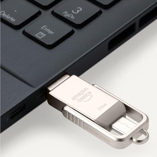 Amazonベーシック USBフラッシュドライブ サムドライブメモリスティック (USB CとUSB Aデュアルポート搭載) 256GB シャンパンシルバー 中間 画像