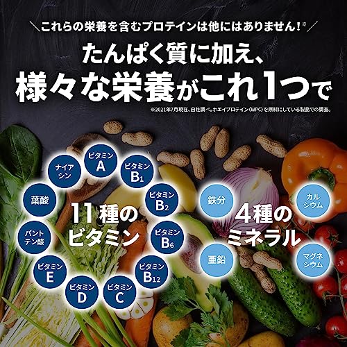 【医師推奨】ウィンゾーン プロテイン ホエイ リッチチョコ風味 ビタミン11種 ミネラル4種配合 1kg WPC 日本新薬 国内製造 中間 画像
