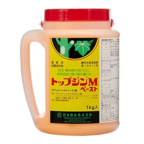 日本曹達 殺菌剤 トップジンMペースト 1Kg 癒合剤 樹木切り口保護剤 園芸 剪定 日本曹達 殺菌剤 トップジンMペースト 1Kg 実物画像・外観写真