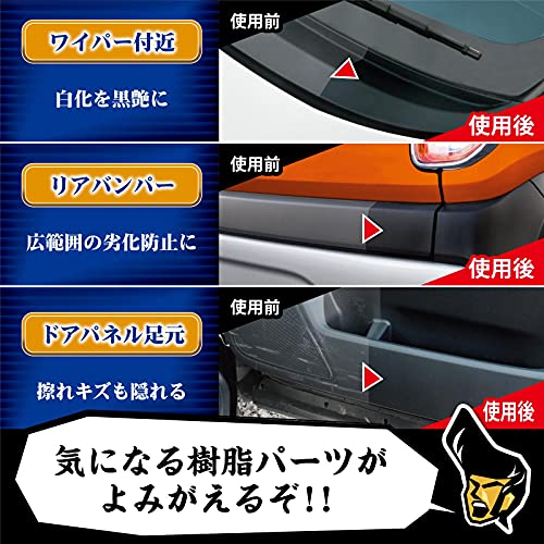 プロスタッフ(Prostaff) 洗車用品 未塗装樹脂コーティング剤 魁 磨き塾 未塗装樹脂&車内ダッシュボード使用可 ブラックコート 100ml S151 最後 画像