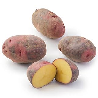 じゃがいも 種イモ 【グラウンドペチカ（デストロイヤー） 300g入り】馬鈴薯 ばれいしょ ジャガイモ 種芋 タネイモ 栽培 販売] 1