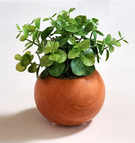 ケーアイジャパン(Kijapan) インテリアグリーン 造花 観葉植物 光触媒 かわいい ユーカリ Φ14×H15cm(ポットの直径はΦ7cm) ナチュラル 木目ポット 419488 ブラウンの詳細・まとめ 画像