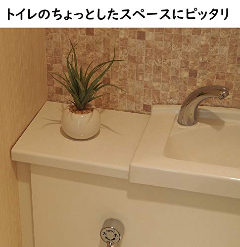 ミニ インテリアグリーン 造花 観葉植物 ユーカリ、エアプランツ、ファンシェイプ グリーン 3点セットの特徴・詳細 画像