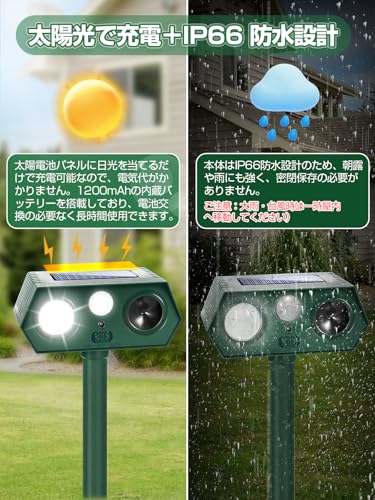 猫よけ 超音波 動物撃退器 【2025アップグレード版】猫除け 超音波 害獣撃退 害獣対策器 鳥よけ 動物対策器 猫退治 犬よけ ネズミ除け 鳥除け 猫撃退 猫退治 犬除け 畑/庭保護 差し込み&壁掛け型の両用 グリーン (绿色)の特徴・詳細 画像