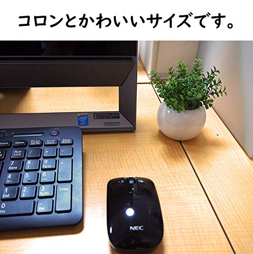 ミニ インテリアグリーン 造花 観葉植物 ユーカリ、エアプランツ、ファンシェイプ グリーン 3点セットの特徴・詳細 画像