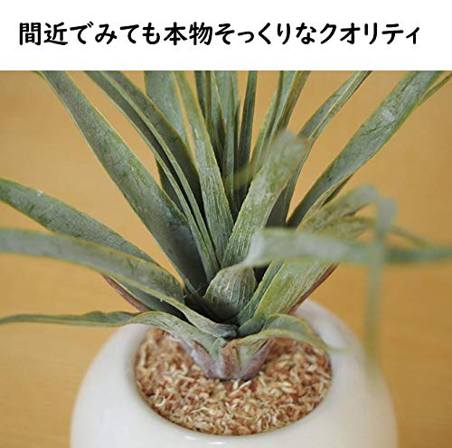 ミニ インテリアグリーン 造花 観葉植物 ユーカリ、エアプランツ、ファンシェイプ グリーン 3点セットの詳細・まとめ 画像