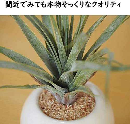 ケーアイジャパン(Kijapan) インテリアグリーン 造花 観葉植物 光触媒 かわいい ユーカリ Φ14×H15cm(ポットの直径はΦ7cm) ナチュラル 木目ポット 419488 ブラウンの特徴・詳細 画像