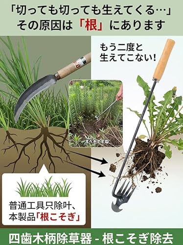 草取り道具 草抜き 根こそぎ抜ける手動草取りツール 除草ツール 4本爪 くわ ステンレス製 レーキ 根抜き 雑草取り 草刈り道具 庭 芝生 農作業 園芸用品 多機能 土起こし 片手用 頑丈 家庭菜園 畑 植栽 錆びにくい 耐久性 ガーデニング 道具 (50cm)の特徴・詳細 画像