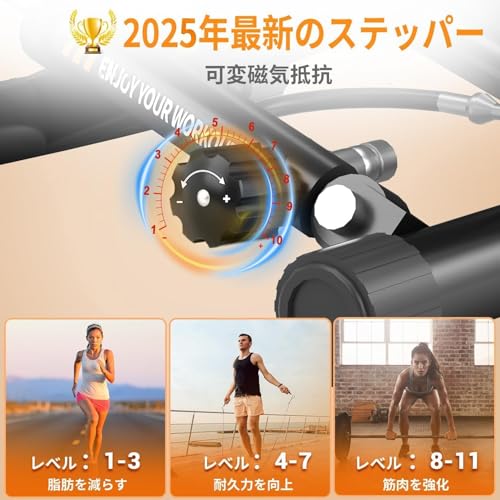 【 ステッパー 2025アップグレード版】 CHAOKE ステッパー ツイストステッパー プレミアム 静音設計 筋トレ 有酸素運動 コア ステップ台 お腹 エクササイズ 連続使用約120分 オリジナルのエア＋オイル駆動方式 最大承重量150kg 高齢者足を鍛える器具 保証5年の詳細・まとめ 画像